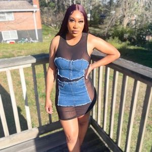 Denim Mesh Dress